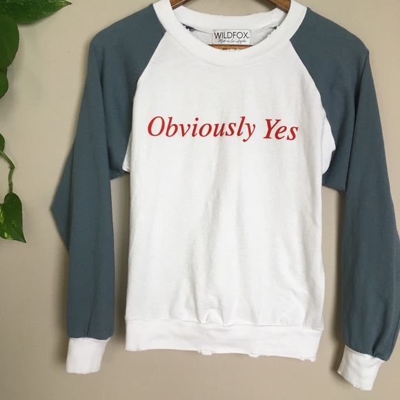 SOLD🤙🏼WILDFOX✨Sweatshirt - Picture 3 of 8